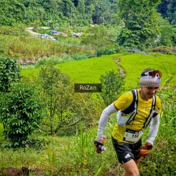 Runner Photo 81292