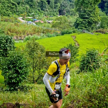 Runner Photo 81296