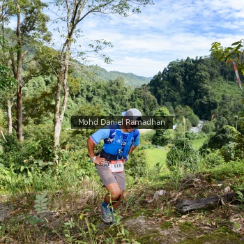 Runner Photo 81308
