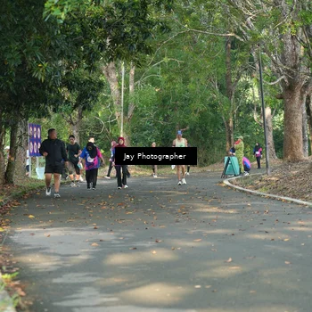 Runner Photo 8131619