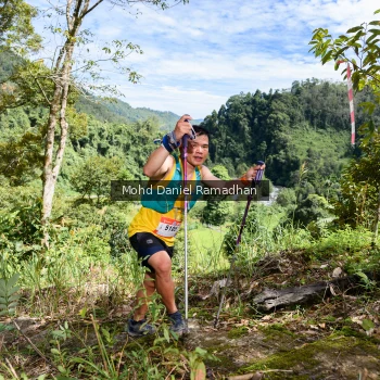 Runner Photo 81317