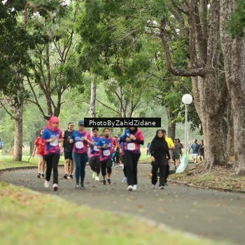 Runner Photo 8132486
