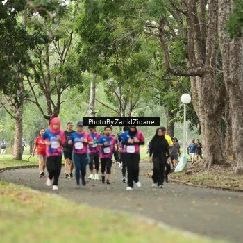 Runner Photo 8132536