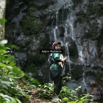 Runner Photo 8132574