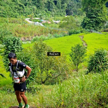 Runner Photo 81359