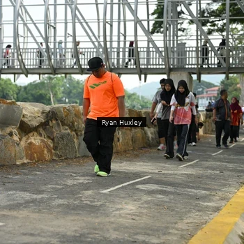 Runner Photo 8136264