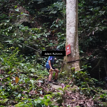 Runner Photo 8137024
