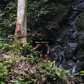 Runner Photo 8137039