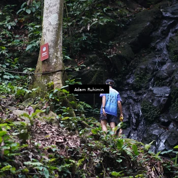Runner Photo 8137117