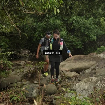 Runner Photo 8137126