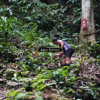 Runner Photo 8137146