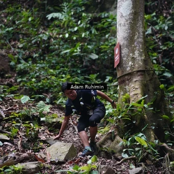 Runner Photo 8137189
