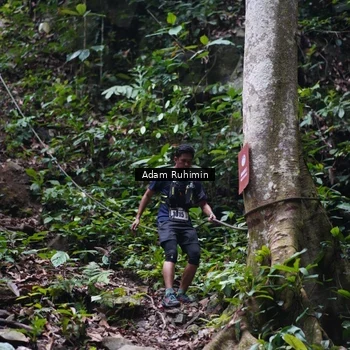 Runner Photo 8137196