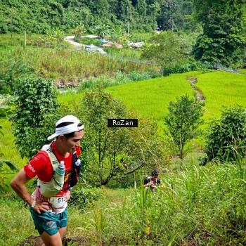 Runner Photo 81372