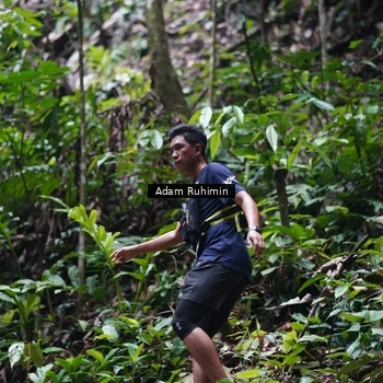 Runner Photo 8137202