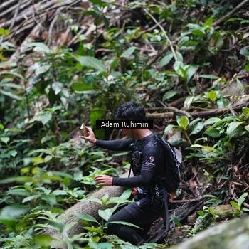 Runner Photo 8137216
