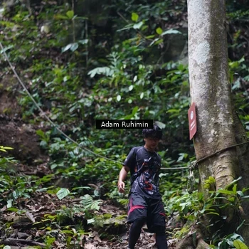 Runner Photo 8137482