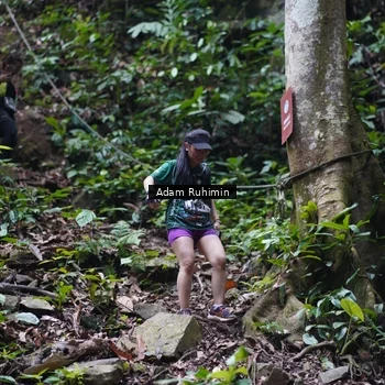 Runner Photo 8137544