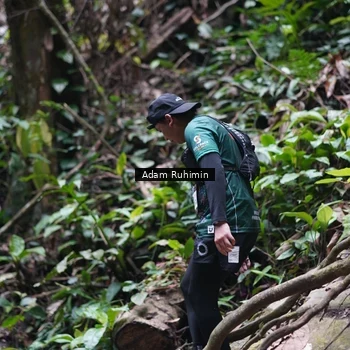 Runner Photo 8137660