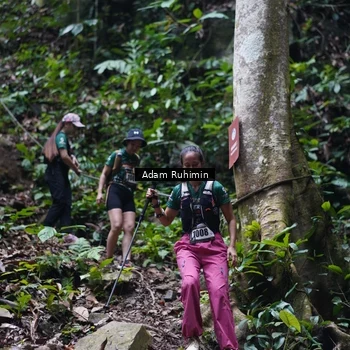 Runner Photo 8137908