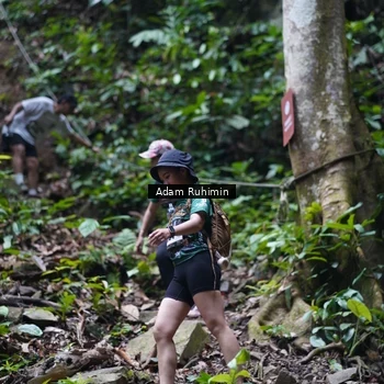 Runner Photo 8137949