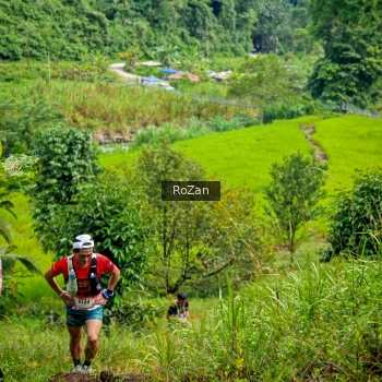 Runner Photo 81380