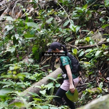 Runner Photo 8138169