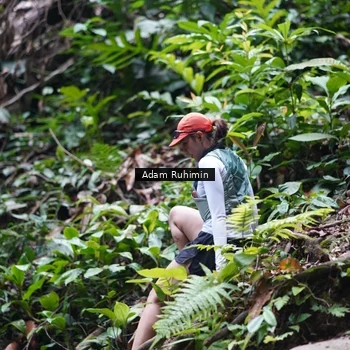 Runner Photo 8138212