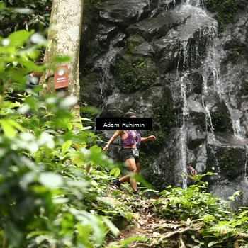 Runner Photo 8139300