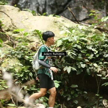 Runner Photo 8139329