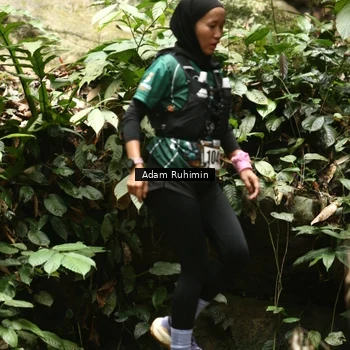 Runner Photo 8139395