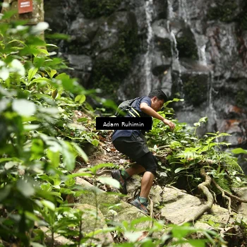 Runner Photo 8139533