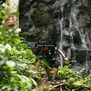 Runner Photo 8139540
