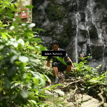 Runner Photo 8139544