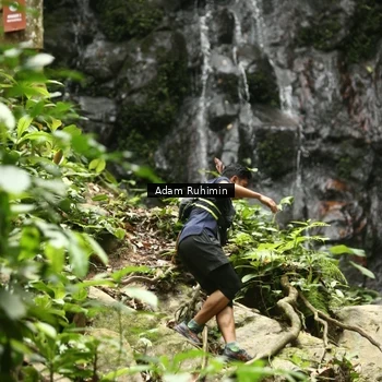 Runner Photo 8139548