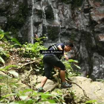 Runner Photo 8139549
