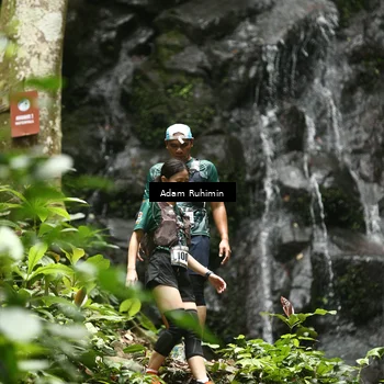 Runner Photo 8139593
