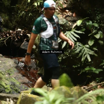 Runner Photo 8139623
