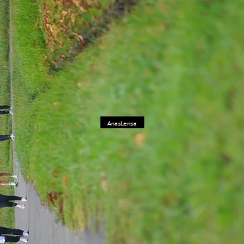 Runner Photo 8139662