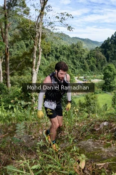 Runner Photo 81401