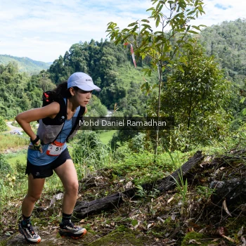 Runner Photo 81407