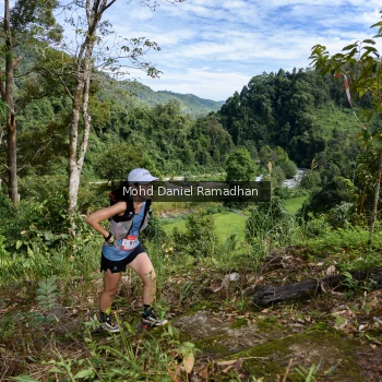 Runner Photo 81415