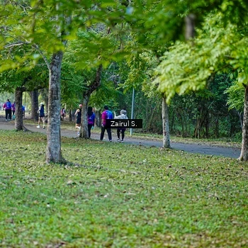 Runner Photo 8142367