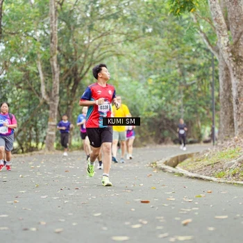 Runner Photo 8143431