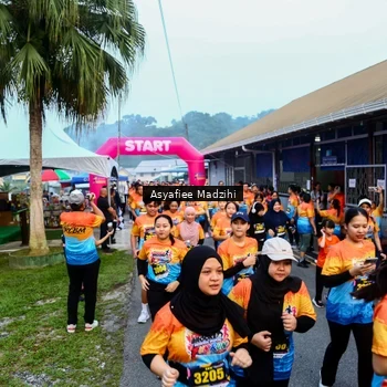 Runner Photo 8143592