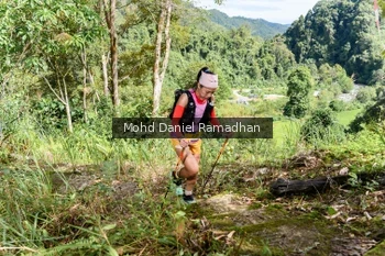 Runner Photo 81438