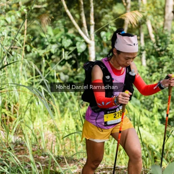 Runner Photo 81442