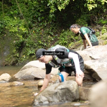 Runner Photo 8144499