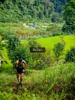 Runner Photo 81451