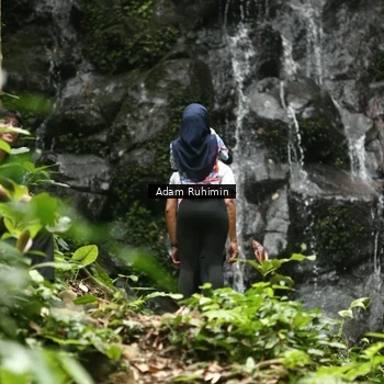 Runner Photo 8145943